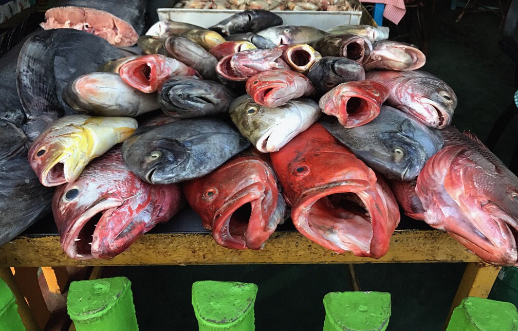 d8bac2ef-b848-4347-a2e0-1df5b8cde5bd